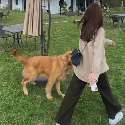 八犬传：东方八犬异闻