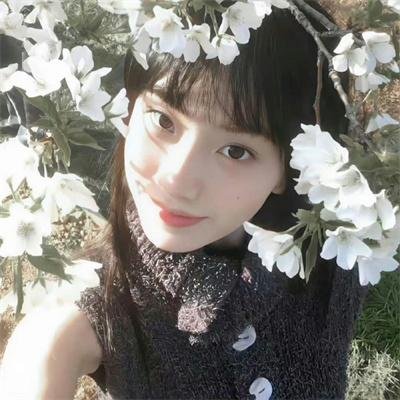 光荣的追寻第一季